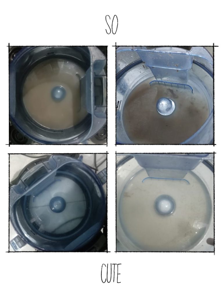 WeCleanandCareIndonesia-asset-001 (18)