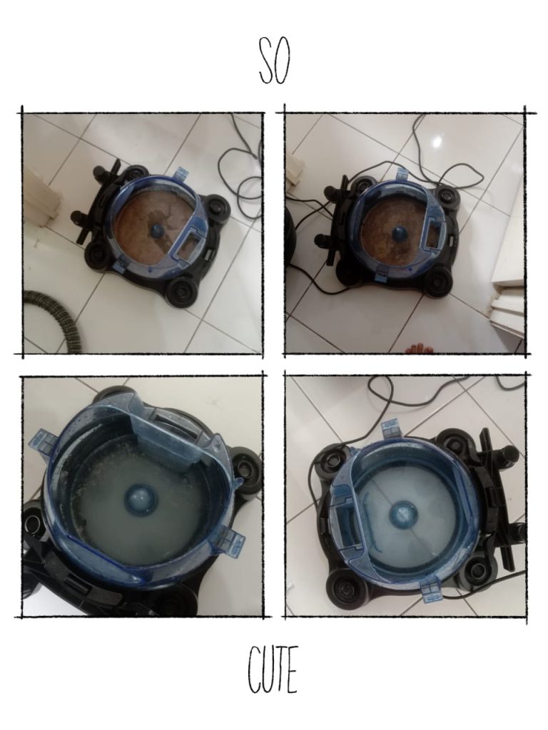 WeCleanandCareIndonesia-asset-001 (25)